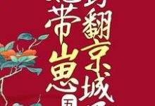小说《五年后，她带崽野翻京城了》章节免费阅读-够力荐小说推荐网