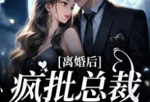哪里能找到离婚后,疯批总裁后悔了小说的最新更新和免费章节?-够力荐小说推荐网
