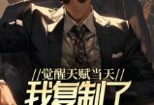 《觉醒天赋当天,我复制了SSS级天赋》小说主角王浩章节章节免费在线阅读-够力荐小说推荐网