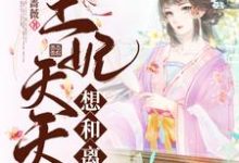《王妃天天想和离》小说章节列表免费试读,傅婉秦修寒小说在线阅读-够力荐小说推荐网
