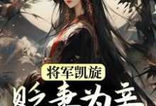 免费在线阅读将军凯旋，贬妻为妾迎娶公主小说的正规网站有哪些？-够力荐小说推荐网