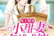 枕上婚宠:小甜妻在线求饶这本小说完结了吗?免费查看最新章节-够力荐小说推荐网