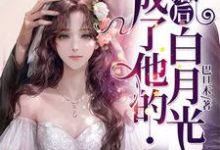 离婚后,成了他的白月光小说无弹窗阅读的网站推荐-够力荐小说推荐网