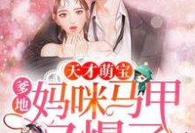 天才萌宝:爹地,妈咪马甲又爆了小说完结版章节免费阅读-够力荐小说推荐网