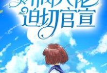 叶宜宁厉霆州是哪本书的主角？寻找闪婚后，财阀大佬迫切官宣免费阅读-够力荐小说推荐网