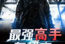 最强高手在都市(杨天天若晴吴忠英)在线免费阅读-够力荐小说推荐网