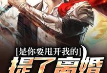 是你要甩开我的，提了离婚你哭啥？小说全文哪里可以免费看？-够力荐小说推荐网