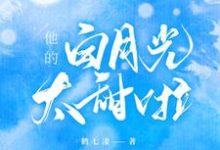 他的白月光太甜啦最新章节,他的白月光太甜啦免费阅读-够力荐小说推荐网