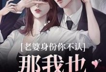 小说《老婆身份你不认?那我也不要你了》在线章节阅读-够力荐小说推荐网
