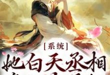 逆天!她白天丞相,晚上太子妃小说全文哪里可以免费看?-够力荐小说推荐网