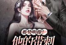 沈枳夏孟淮序为主角的小说叫什么?免费看蓄势明撩!他的带刺玫瑰正走来-够力荐小说推荐网