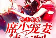 寻找能够免费阅读枕上撩婚:席少,宠妻请克制小说的平台-够力荐小说推荐网