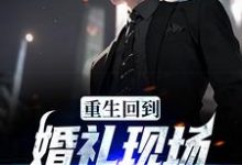 在线寻找重生回到婚礼现场,先解除婚约小说的无删减版本-够力荐小说推荐网
