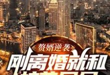 已完结小说《赘婿逆袭:刚离婚就和校花同居》章节免费阅读-够力荐小说推荐网