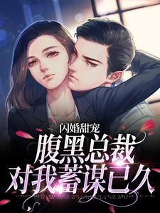 闪婚甜宠：腹黑总裁对我蓄谋已久小说，闪婚甜宠：腹黑总裁对我蓄谋已久在线阅读