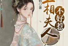 丞相夫人不好惹主角盛安蓝沈白屿乐冉娜宁小说完结版章节在线阅读-够力荐小说推荐网