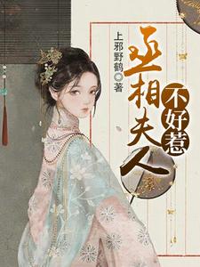 丞相夫人不好惹主角盛安蓝沈白屿乐冉娜宁小说完结版章节在线阅读