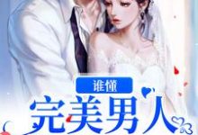 谁懂?完美男人还有这一面小说有没有完整的免费版本在线阅读?-够力荐小说推荐网