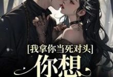 完结版《我拿你当死对头,你想钻我被窝?》章节目录在线阅读-够力荐小说推荐网