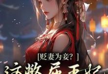 贬妻为妾？这憋屈王妃我不当了江云暖萧时渝，贬妻为妾？这憋屈王妃我不当了章节在线阅读-够力荐小说推荐网