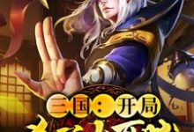 已完结小说《三国:开局杀了大耳贼》最新章节-够力荐小说推荐网