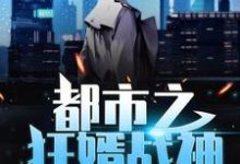 《都市之狂婿战神》小说章节列表免费试读,林辰苏雨涵苏天纵小说在线阅读-够力荐小说推荐网