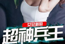 冷炎何惠冷风为主角的小说叫什么?免费看女总裁的超神兵王-够力荐小说推荐网
