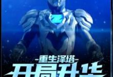 男女主人公遥辉小说重生泽塔,开局升华赛迦形态!章节免费阅读-够力荐小说推荐网