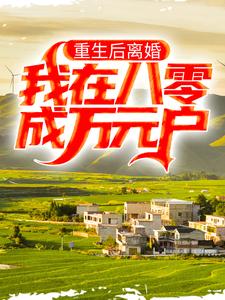重生后离婚，我在八零成万元户宋俊林小说大结局免费试读