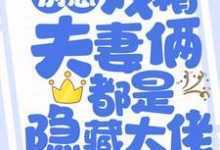 别惹!戏精夫妻俩都是隐藏大佬小说的免费阅读版本在哪里可以找到?-够力荐小说推荐网