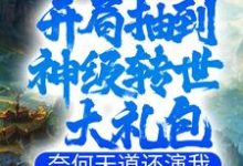 开局抽到神级转世大礼包，奈何天道还演我小说，开局抽到神级转世大礼包，奈何天道还演我免费阅读-够力荐小说推荐网