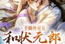 手撕外室女,和状元郎斗智斗勇小说完结版章节免费阅读-够力荐小说推荐网