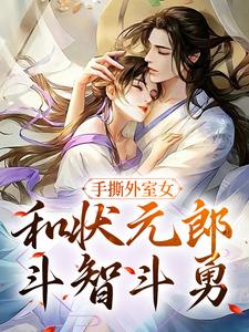 手撕外室女，和状元郎斗智斗勇小说完结版章节免费阅读