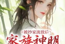 小说《被抄家流放后,家族神明来救场!》章节阅读-够力荐小说推荐网