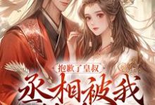 完结版《抱歉了皇叔,丞相被我撬走了》章节阅读-够力荐小说推荐网