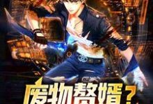 苏辰夏若曦是哪本书的主角？寻找废物赘婿？不，我是战狼！免费阅读-够力荐小说推荐网