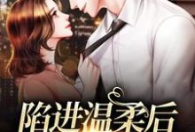 陷进温柔后，他宠上瘾了小说完结版章节免费阅读-够力荐小说推荐网