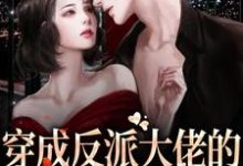 穿成反派大佬的恶毒前妻后（洛欢傅时予）在线免费阅读-够力荐小说推荐网