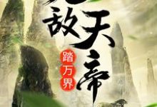 已完结小说《无敌天帝踏万界》最新章节-够力荐小说推荐网