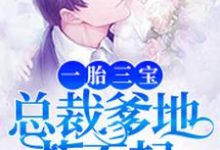 一胎三宝,总裁爹地惹不起(莫小菲李衍禹妖孽)在线免费阅读-够力荐小说推荐网