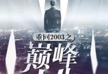 重回2003之巅峰人生这本小说怎么样？免费在线阅读试试-够力荐小说推荐网