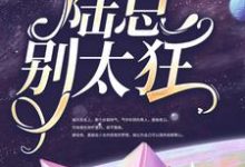 主人公叫 程念念陆琰的小说哪里免费看-够力荐小说推荐网