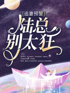 主人公叫 程念念陆琰的小说哪里免费看