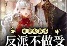 宋言之裴聿琛的故事在哪本书里?免费阅读追妻火葬场:反派不做受气媳妇啦-够力荐小说推荐网