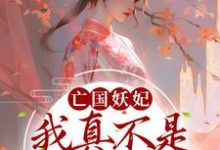 桑宁贺兰殷为主角的小说叫什么？免费看亡国妖妃，我真不是故意当祸水-够力荐小说推荐网
