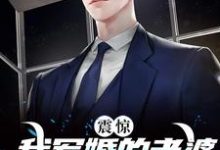 震惊!我军婚的老婆成富婆了小说全文阅读需要付费吗?寻找免费资源-够力荐小说推荐网