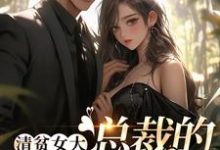 清贫女大,总裁的心头宝免费阅读,清贫女大,总裁的心头宝宋晚意沈煜洵-够力荐小说推荐网