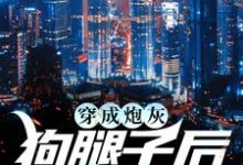 主人公叫苏星语陆瑾辰的小说哪里免费看-够力荐小说推荐网