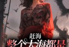 赶海：整个大海都是我的黄金渔场小说的无弹窗阅读体验，寻找免费阅读网站-够力荐小说推荐网