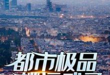 完结版《都市极品桃运武圣》在线免费阅读-够力荐小说推荐网